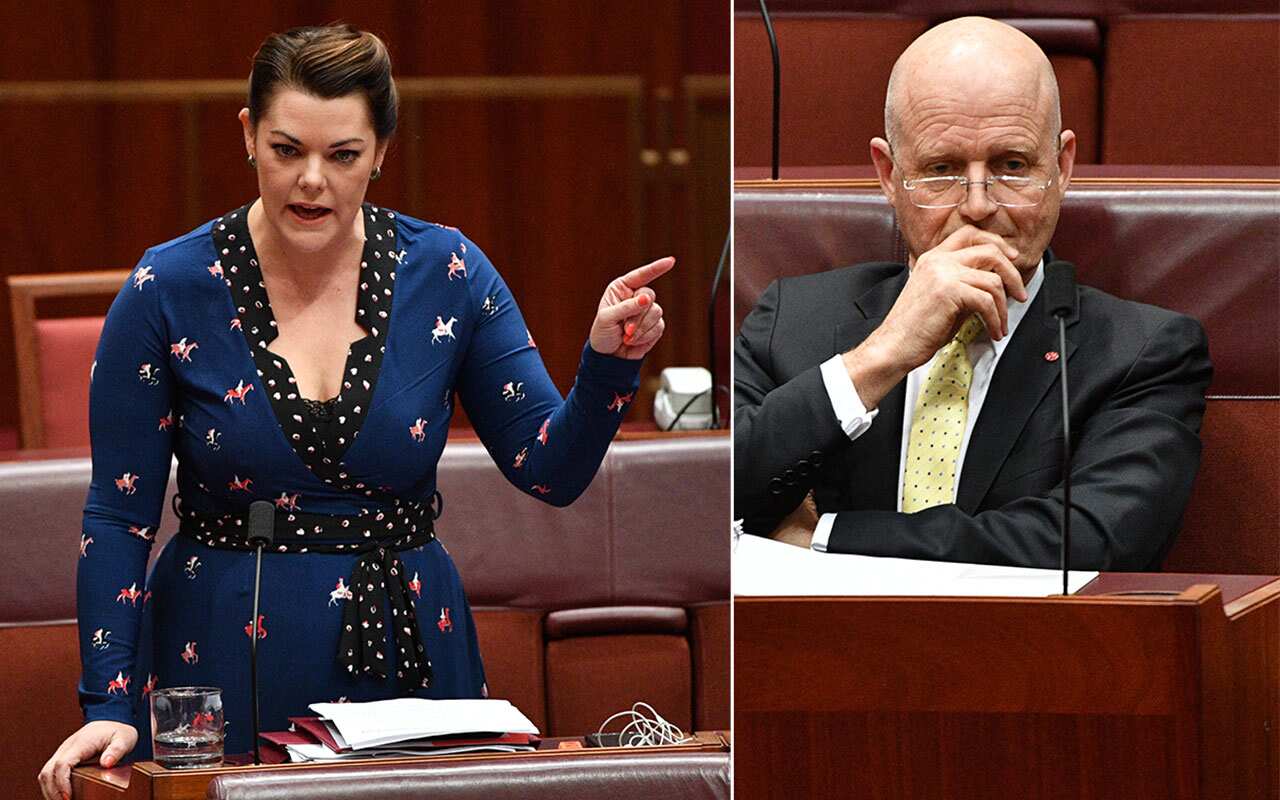 There’s calls for David Leyonhjelm (right) to apologise after his comment directed at Senator Sarah Hanson-Young.