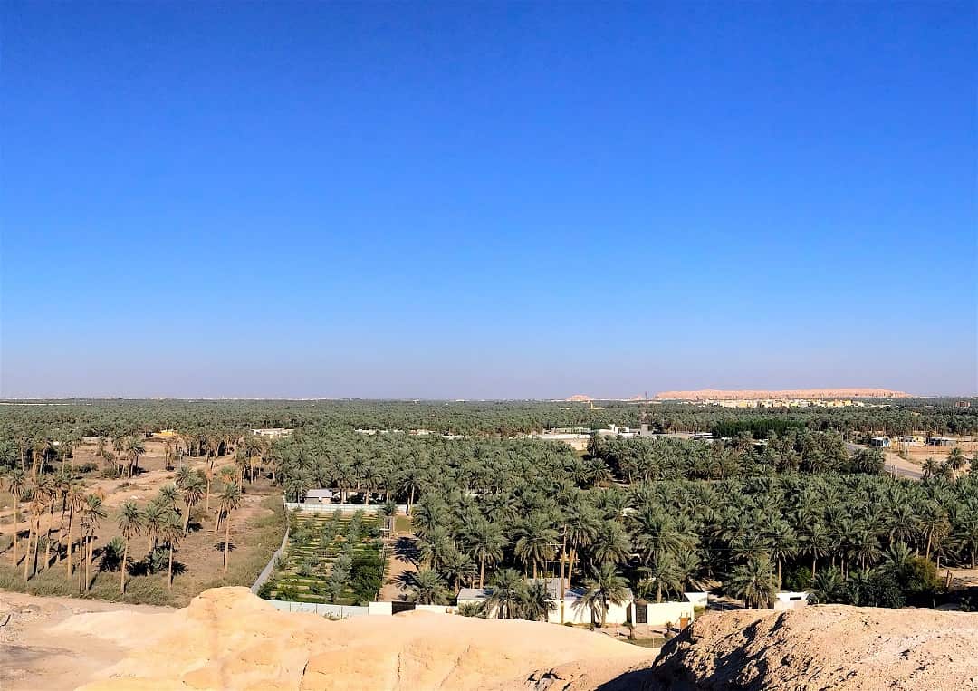 The Al-Ahsa Oasis in the desert of Saudi Arabia. 