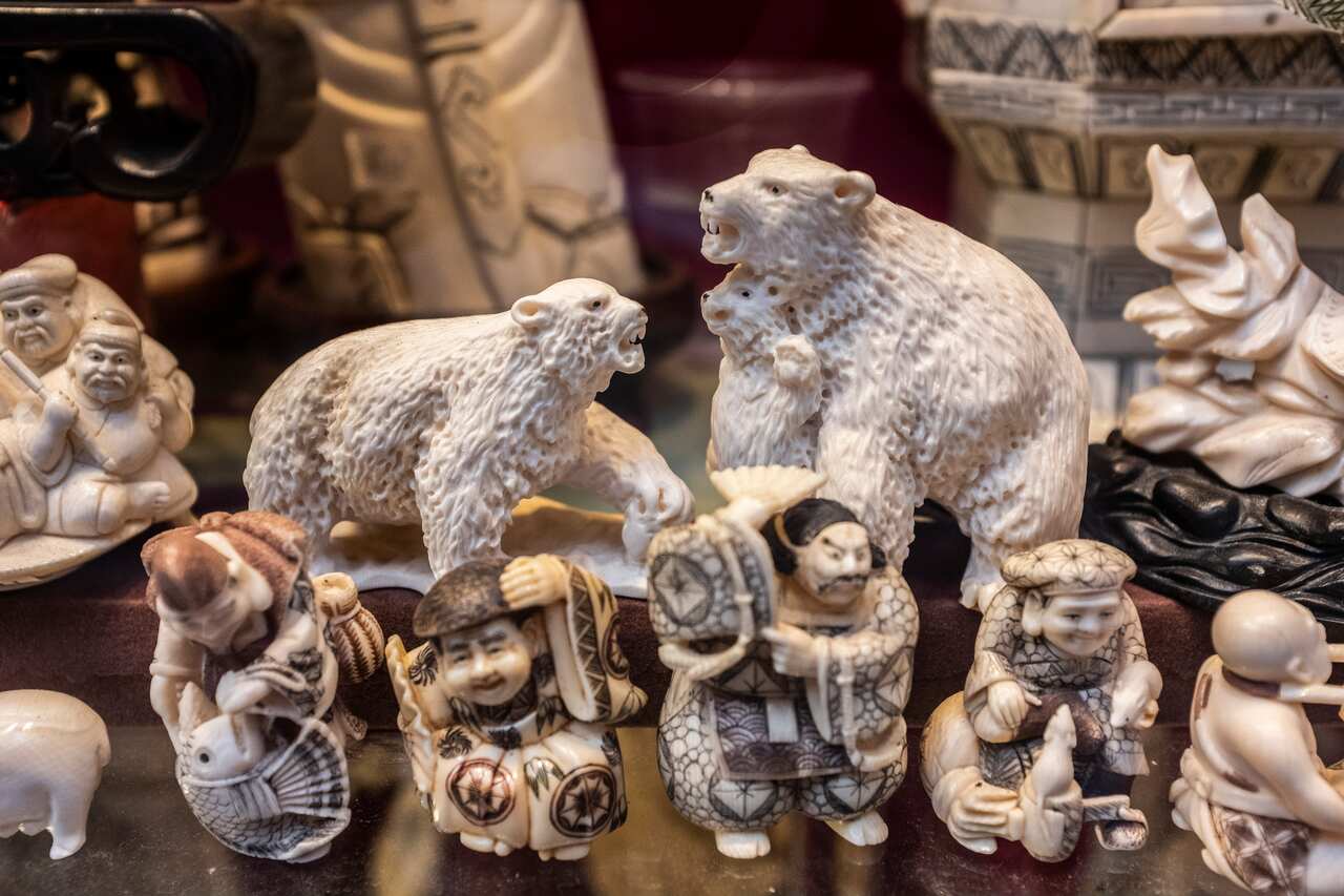 Shops on Queens Road in Sheung Wan, where wildlife products are not hard to find,  in Hong Kong