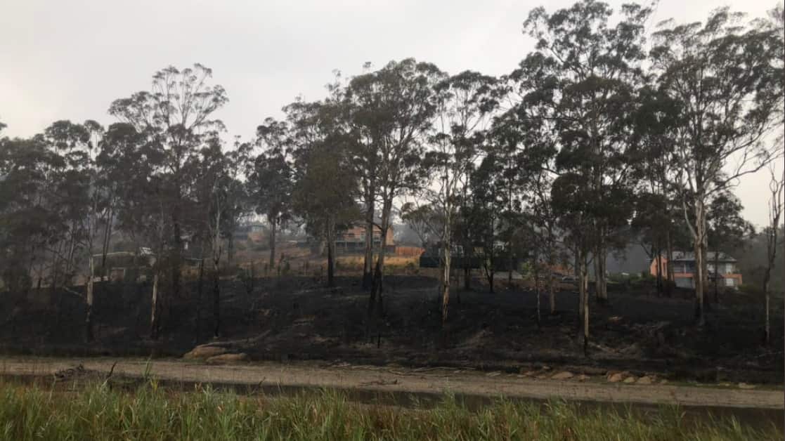 Scorched earth after Border fire tore through Eden.