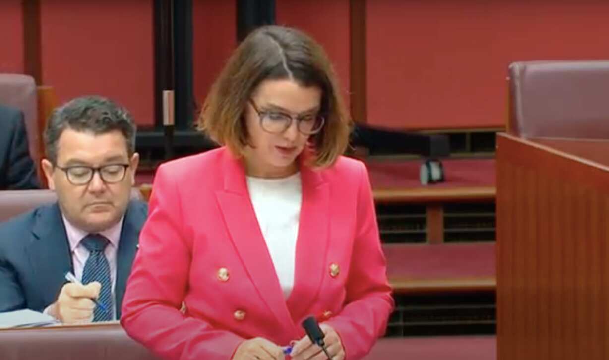 Families and Social Services Minister Anne Ruston defending the government's decision on Tuesday.