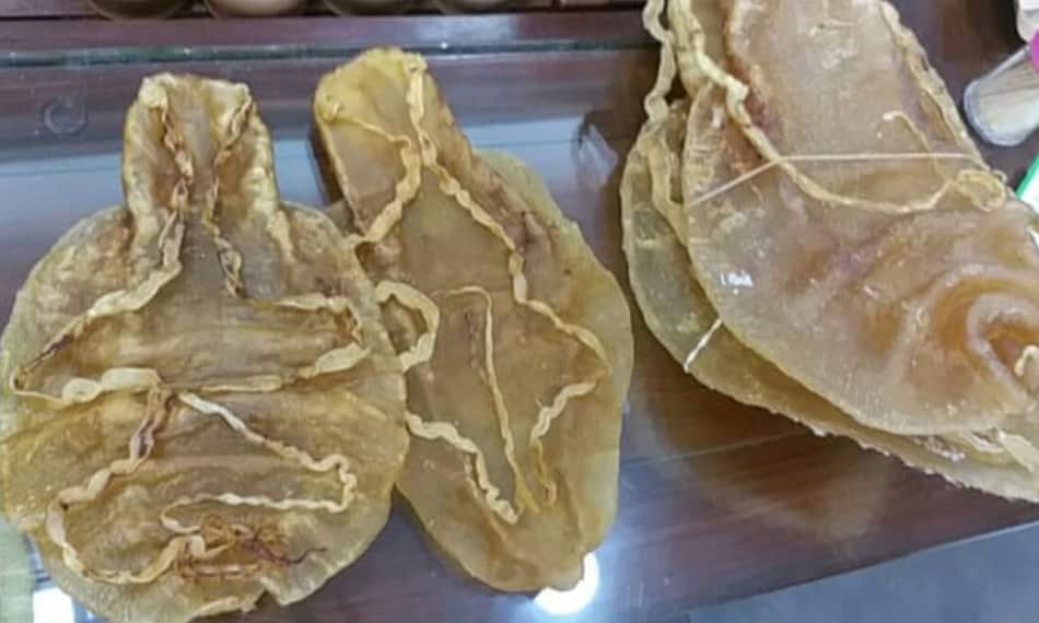 Totoaba are prized for their swim bladders.