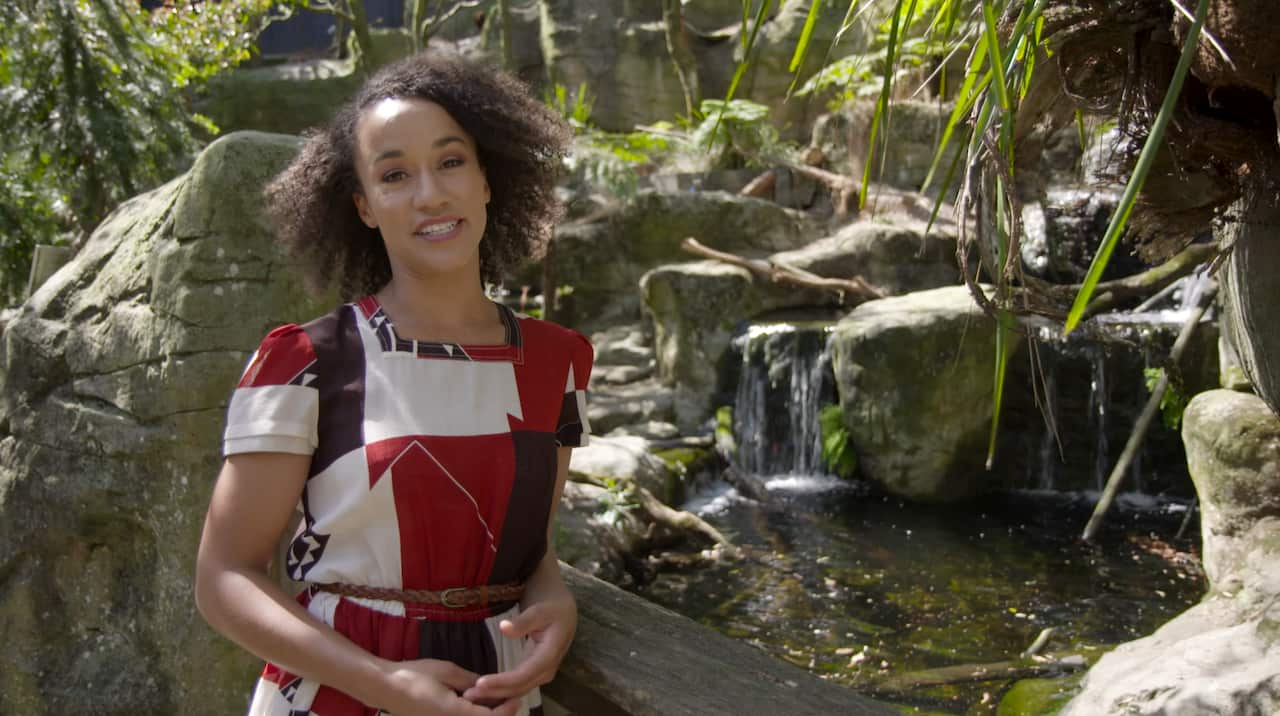 Reporter, Virginia Langeberg