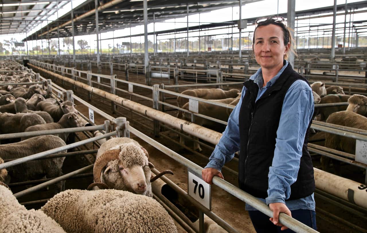 Bindi Murray is a second-generation sheep farmer. She says shocking footage had forced the industry to improve. 