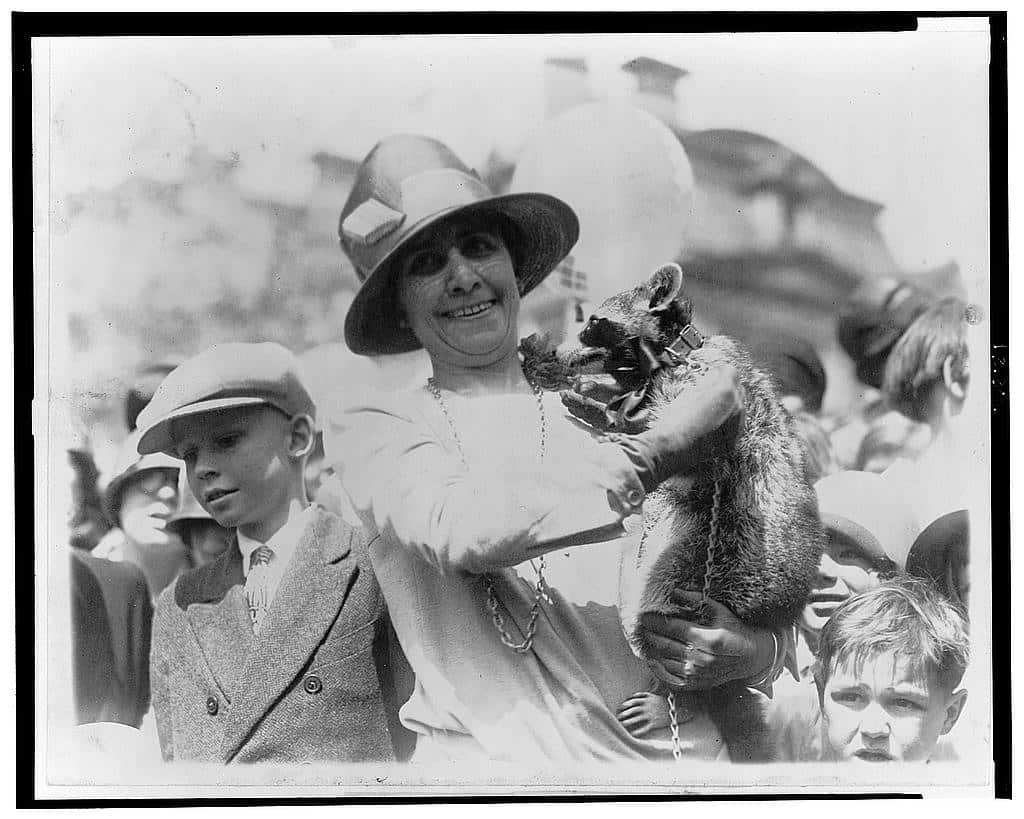 First lady Grace Coolidge with Rebecca the racoon.