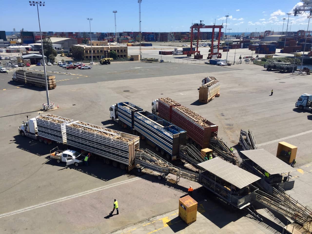 Australia has resumed live sheep exports to the Middle East.