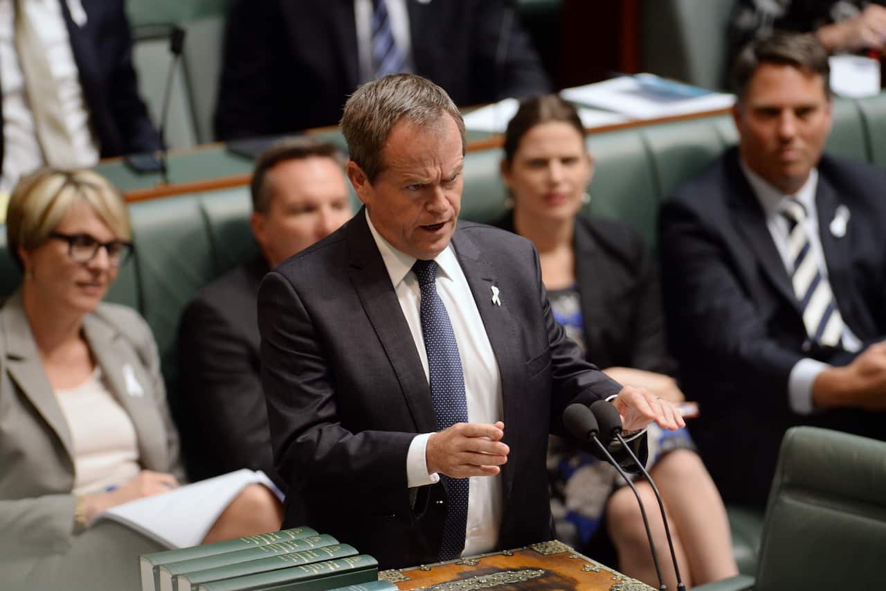 The "splendid head" of Bill Shorten (AAP)