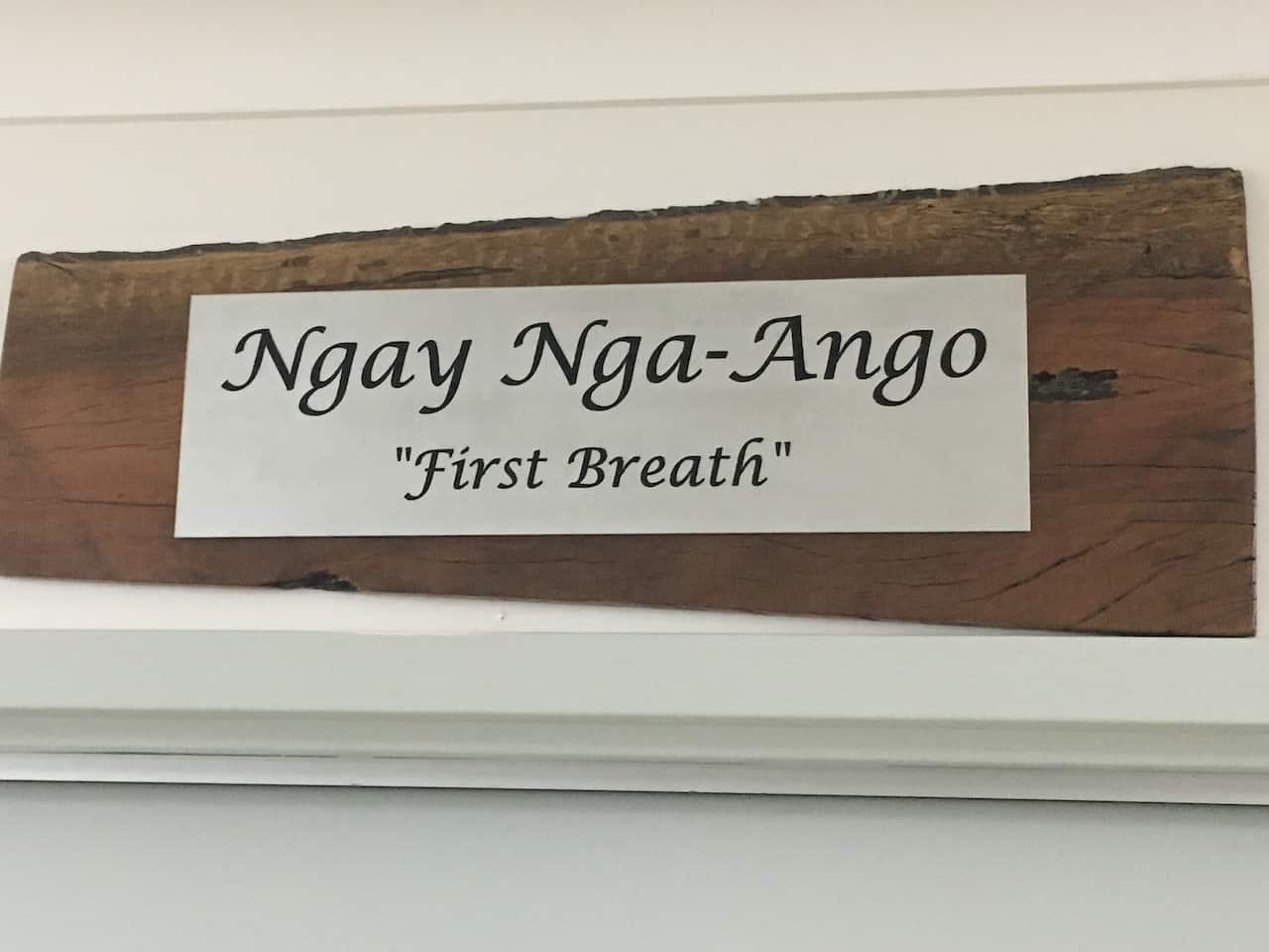 Indigenous health care