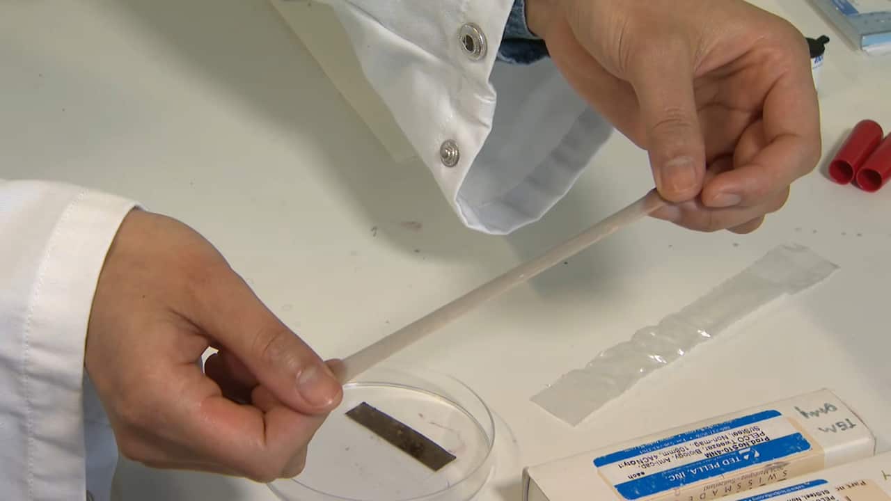 The wearable skin can tolerate up to 800 per cent strain.