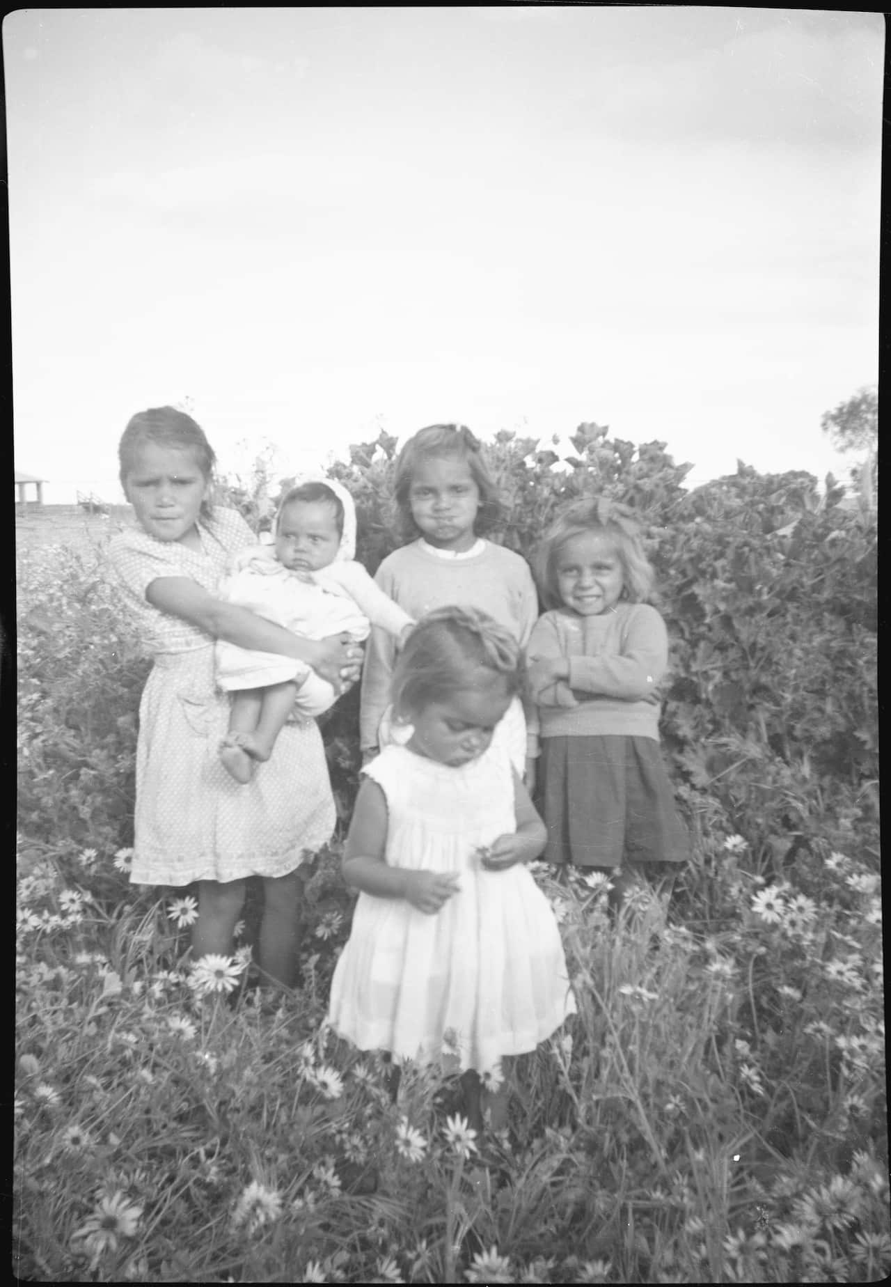 One of Mavis Phillips' photos. 