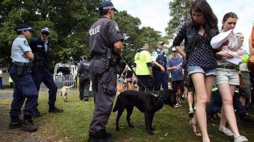 Police say the sniffer dogs are trained to detect a variety of drugs.