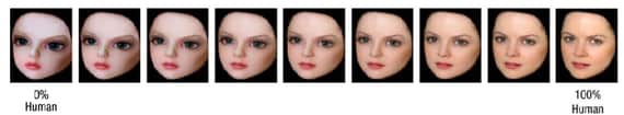 One of the continuums used in the study (Psychological Science)