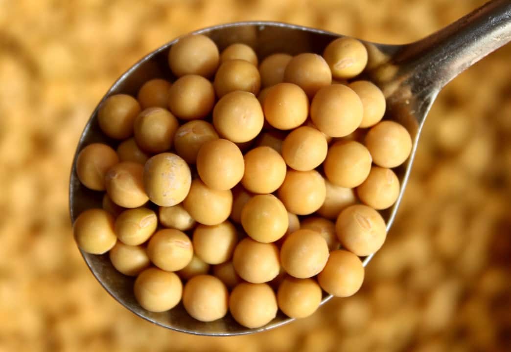 In July China is expected to introduce a new 25% tax on soybeans.