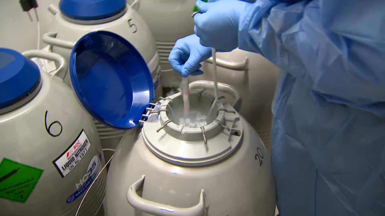 Embryo, egg and ovarian tissue freezing are all possible in Australia.