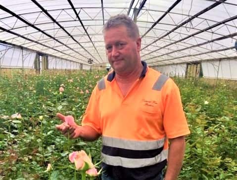 Stephen Pellizzer with roses in bud for Mother's Day.