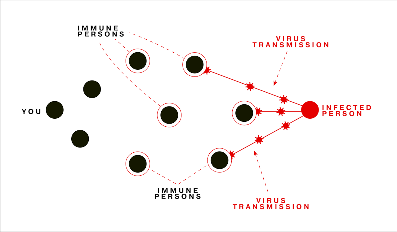 herd immunity graphic