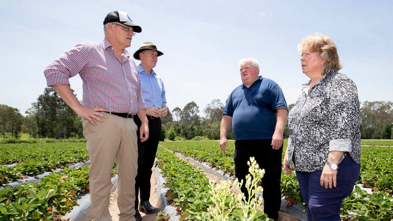Prime Minister Scott Morrison talks to strawberry farm owners Peter and Laura Hendriksen in Queensland.
