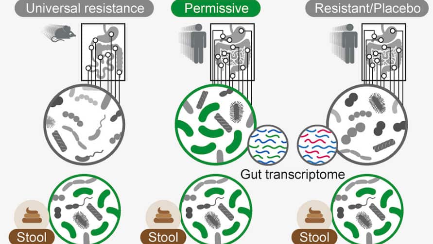 A graphic showing the different results from the test subjects. 
