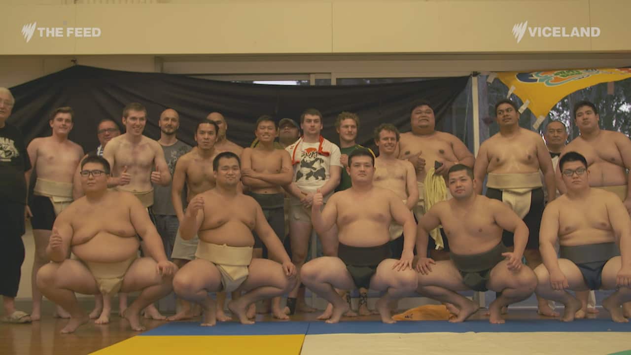 Sumo