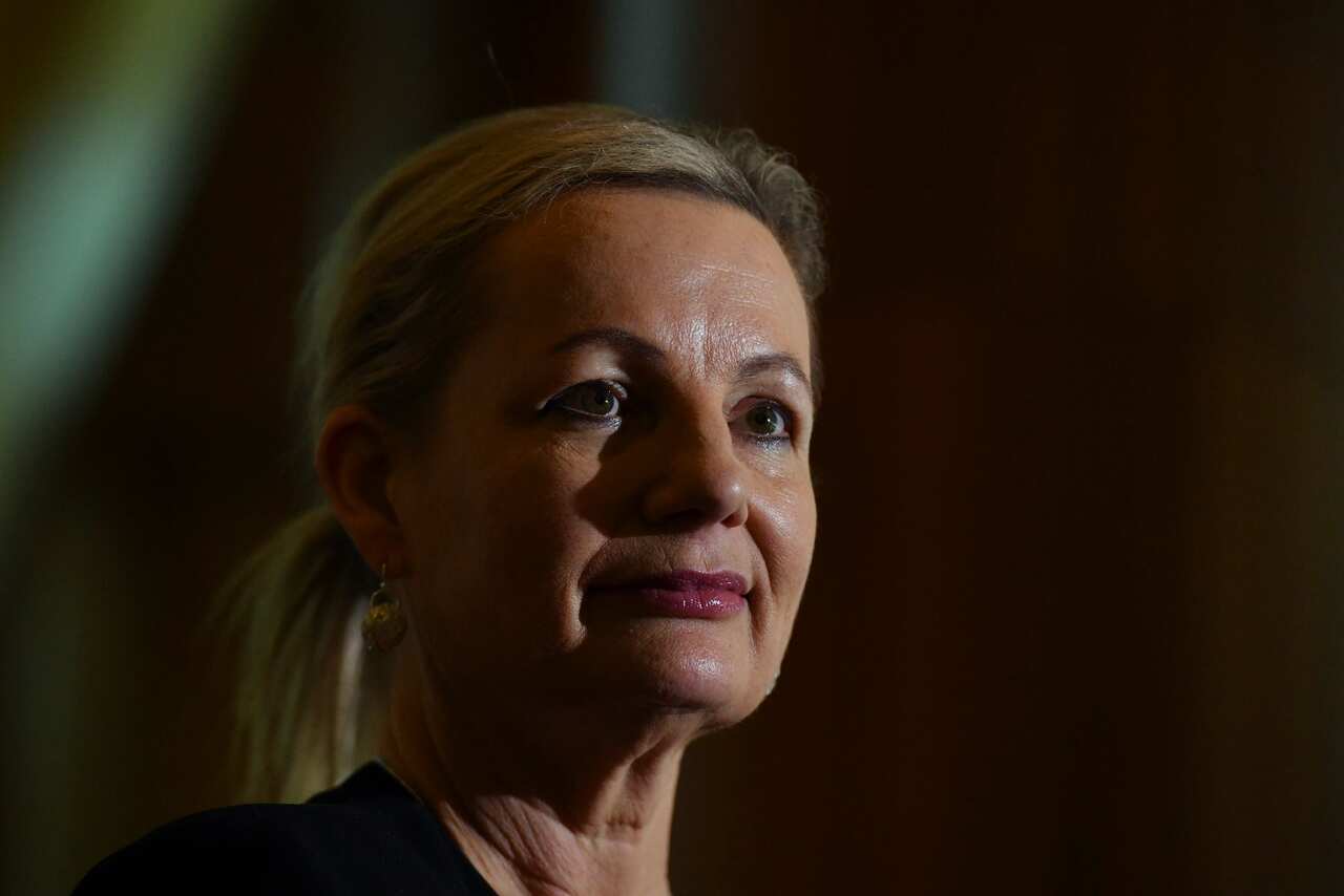 Environment Minister Sussan Ley says the World Heritage Committee decision "was a good one".