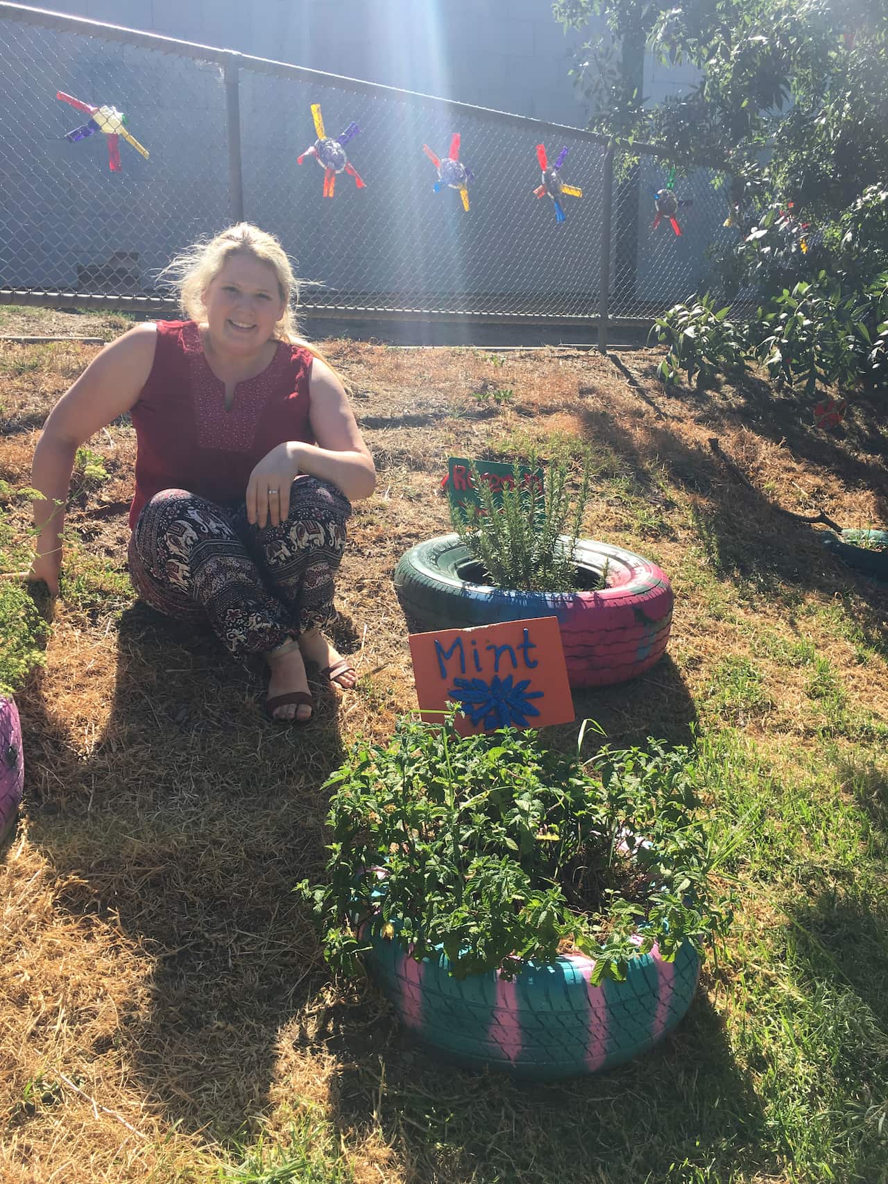 Sustainability in schools