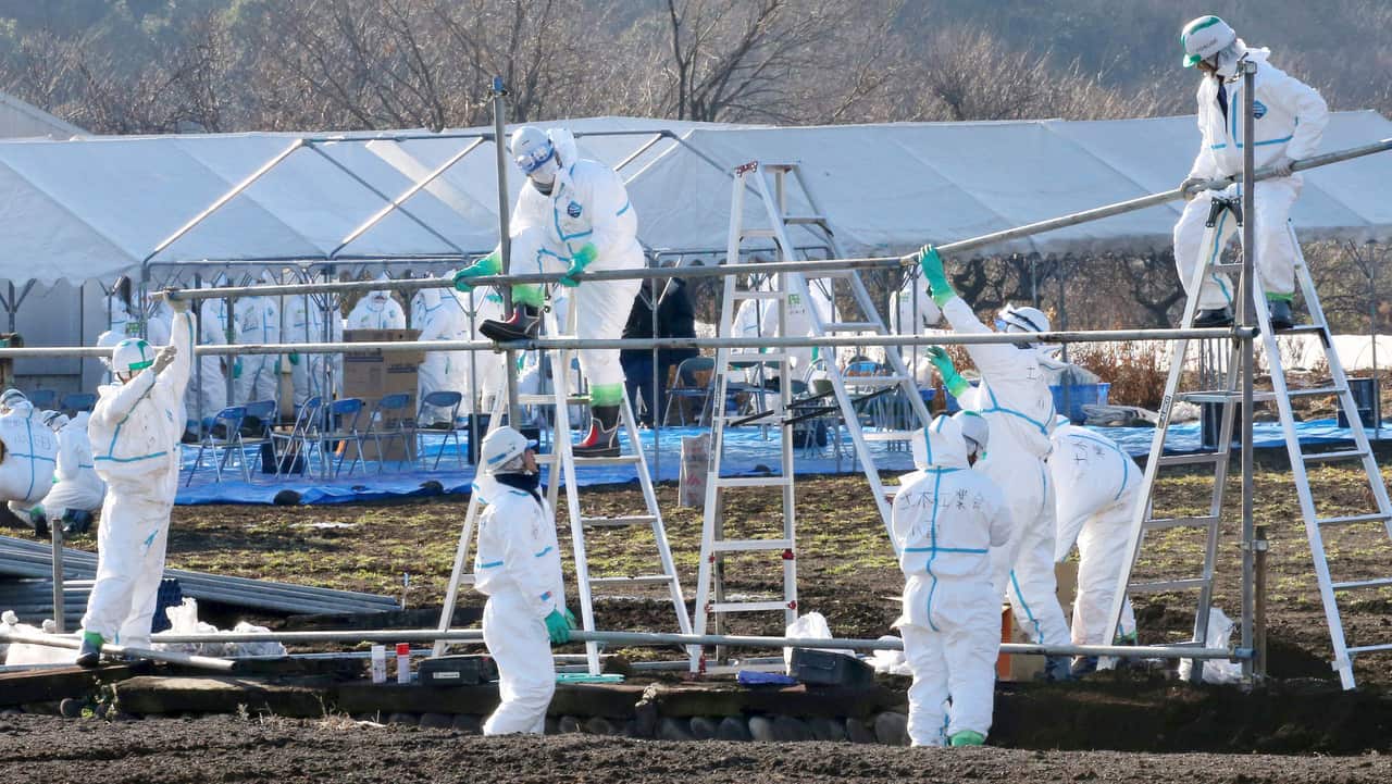 Local government hygiene and agricultural workers in protective gear inspect a hog farm, where a swine cholera case has occurred  in Kagamihara.