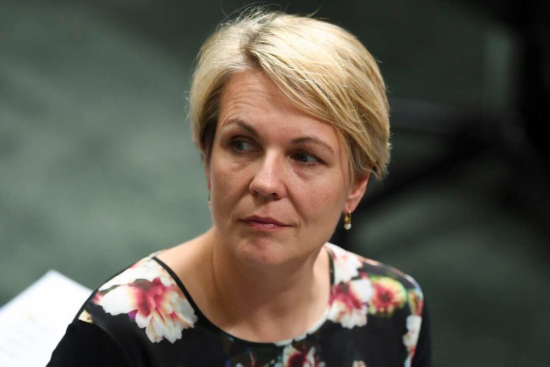 Vets need to be properly cared for according to Deputy Labor leader Tanya Plibersek.