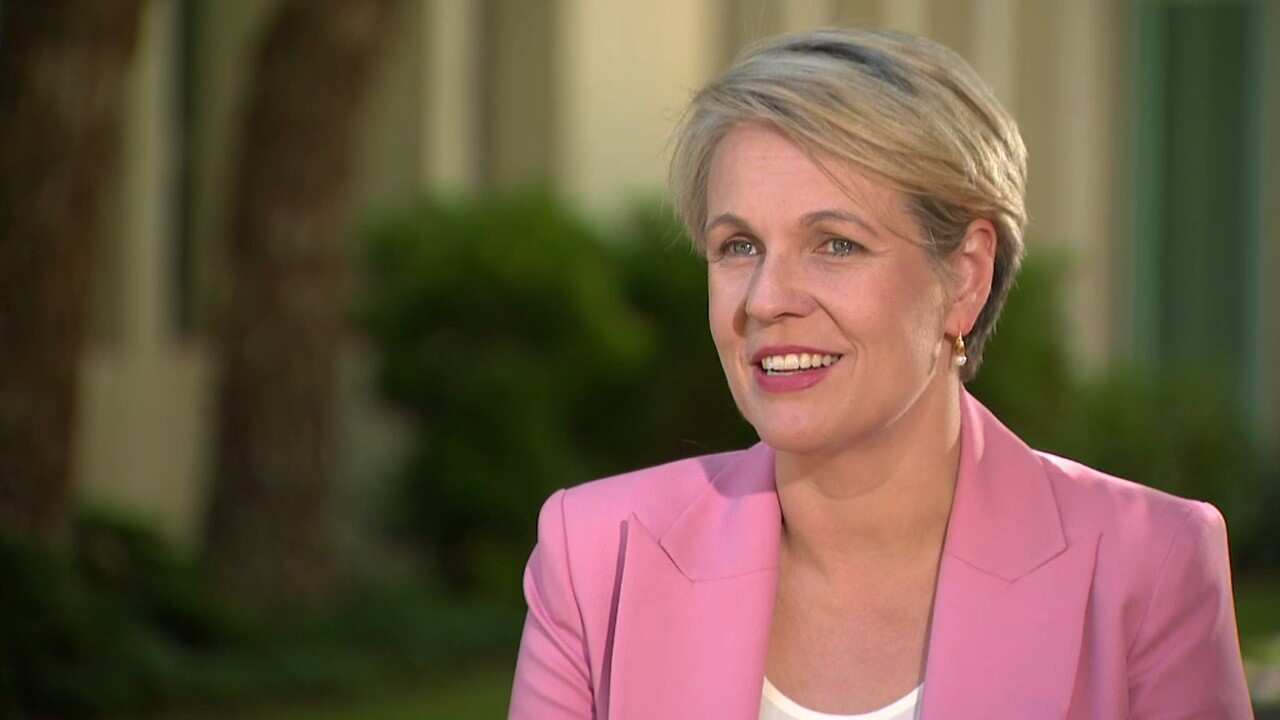Tanya Plibersek