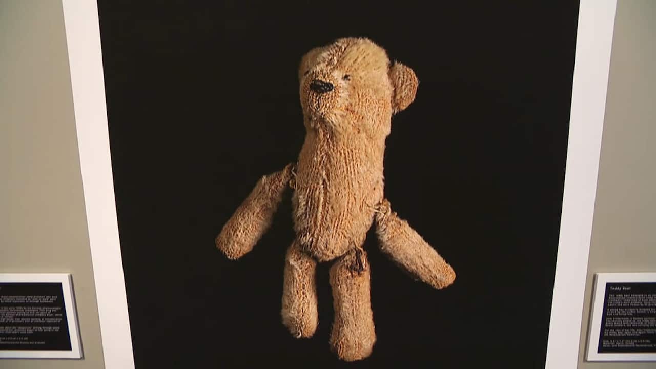A teddy bear at the exhibition (SBS)