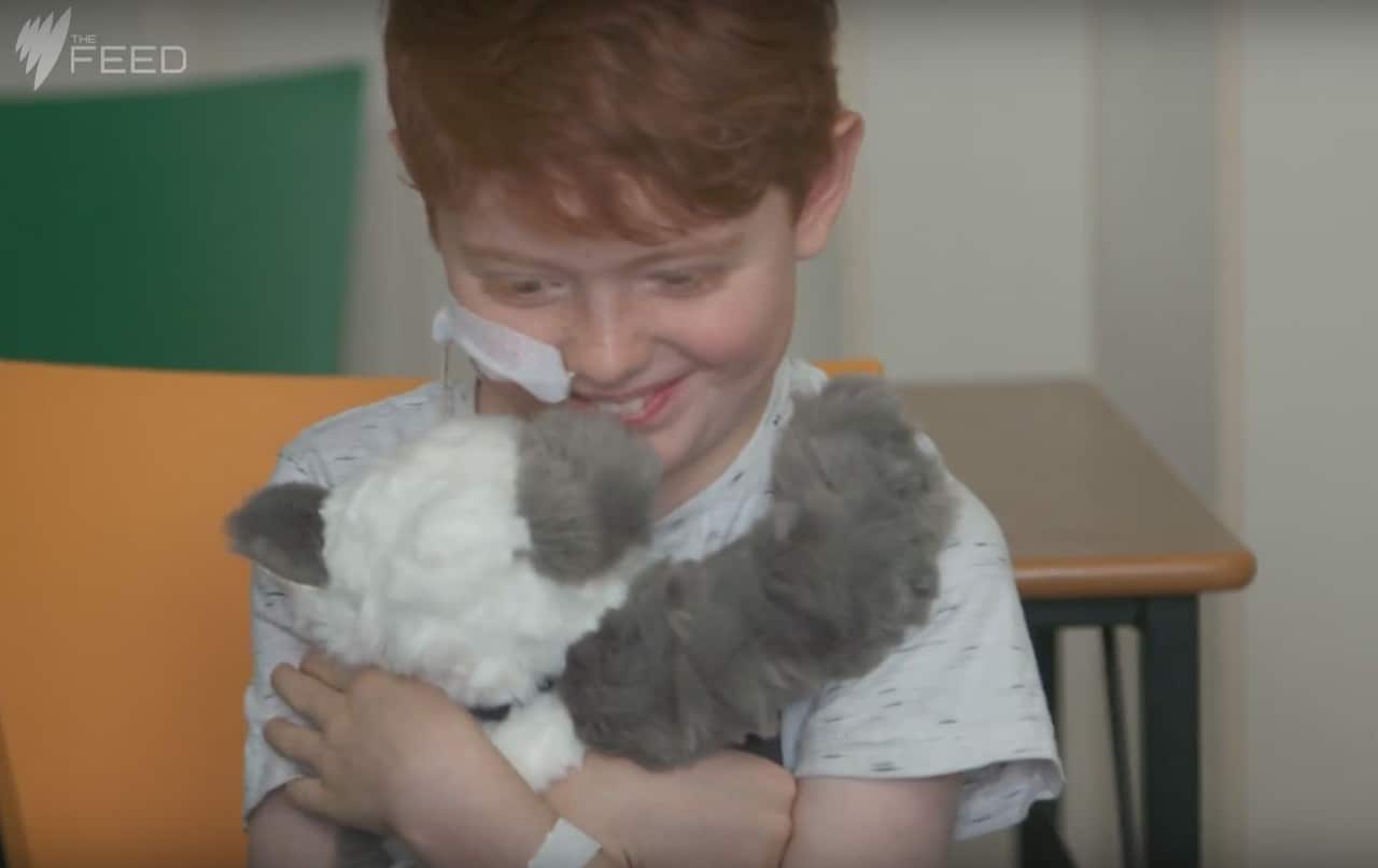 Campbell Remess sews teddy bears for sick kids.