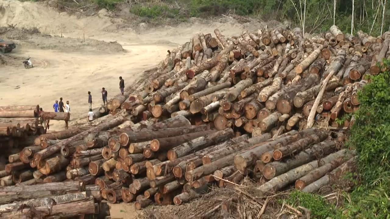 Some limited logging has continued since the blockade. 
