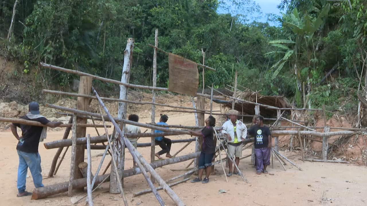 In early January they set up a blockade to stop the logging trucks.
