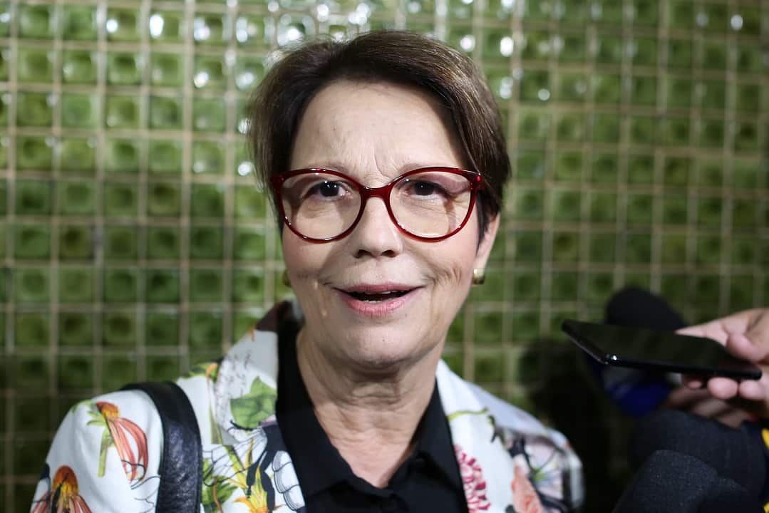 Tereza Cristina was appointed to the Ministry of Agriculture by Brazilian president Jair Bolsonao.