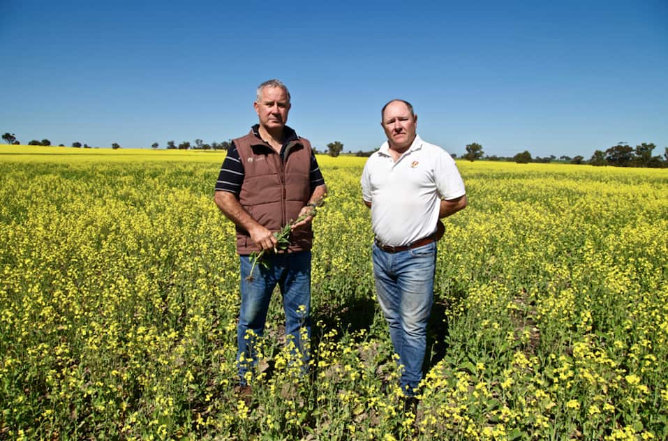 Terry Alderdice and David Stead 