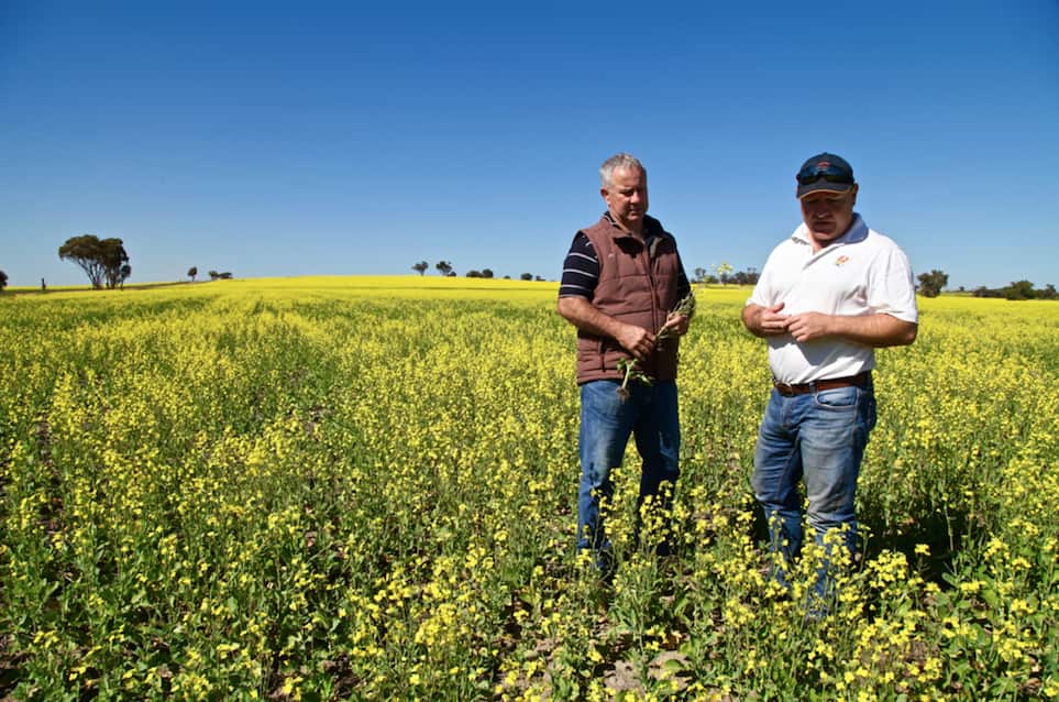 Terry Alderdice and David Stead