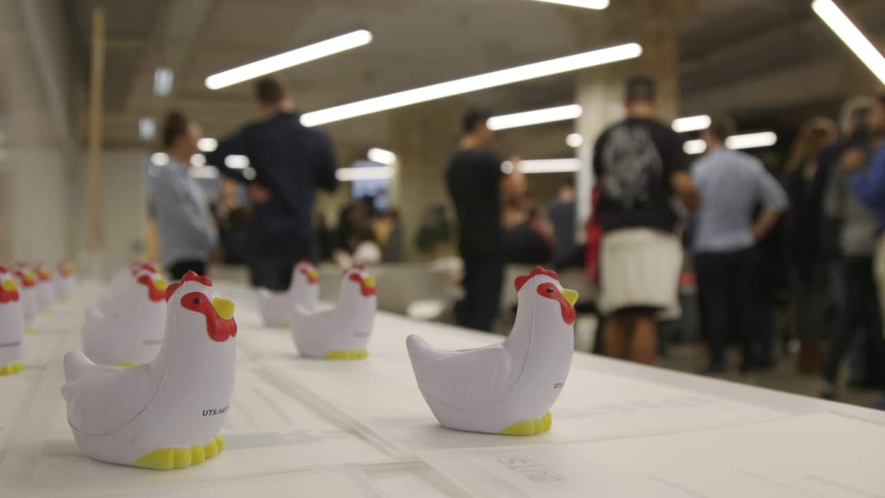 Students who are a part of the Hatchery will learn practical, real-world business skills.