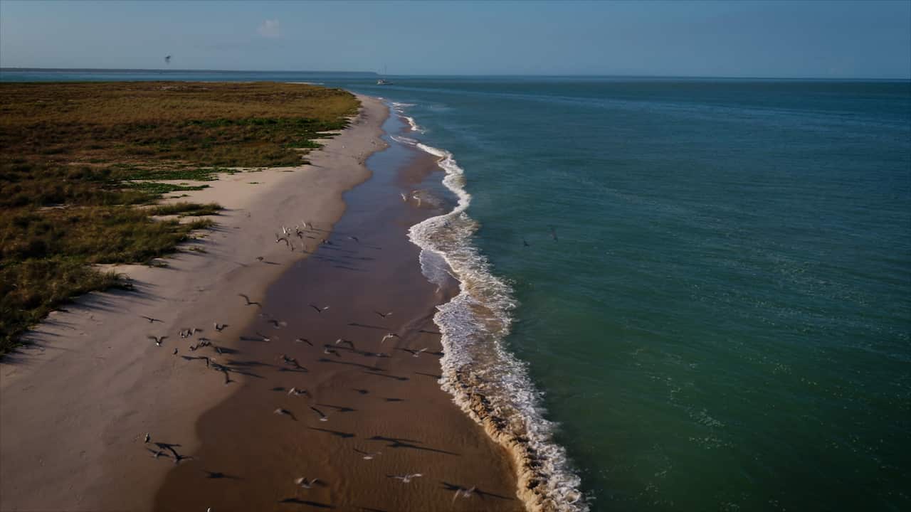 A proposed pipeline will run as close as six kilometres from the Tiwi Islands. 