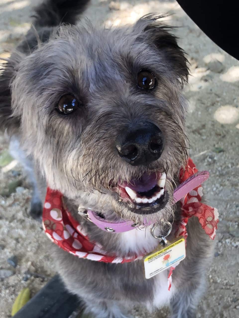 Meredith says Lucy has changed her life