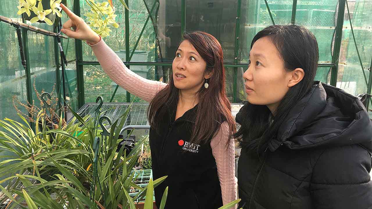 Dr Tien Huynh and Dao Nguyen