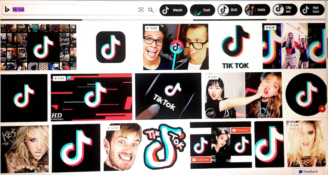 A screenshot of TikTok logos on a computer screen