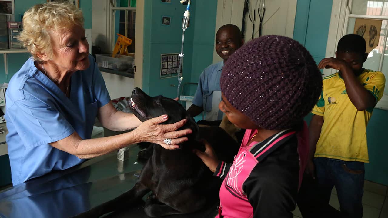 Cora in the clinic at Durban Deep, treating one of a family's two guard dogs. The owner says "If one get sick, me also I’m sick, because it’s my good security at home."