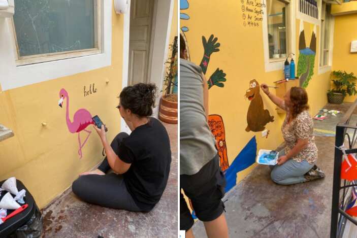 Travellers paint animals onto the walls of the hostel to pass the time in lockdown.