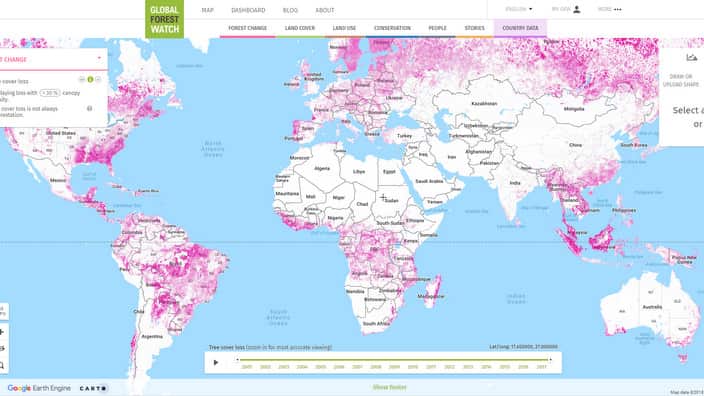 Global Forest Watch has mapped the loss of tree coverage. 