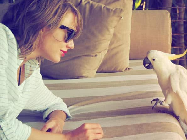 Taylor Swift "making friends" with Australian wildlife.