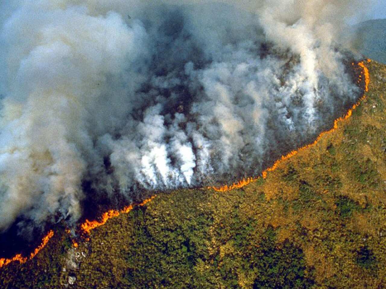 official figures show nearly 73,000 forest fires were recorded in Brazil in the first eight months of the year