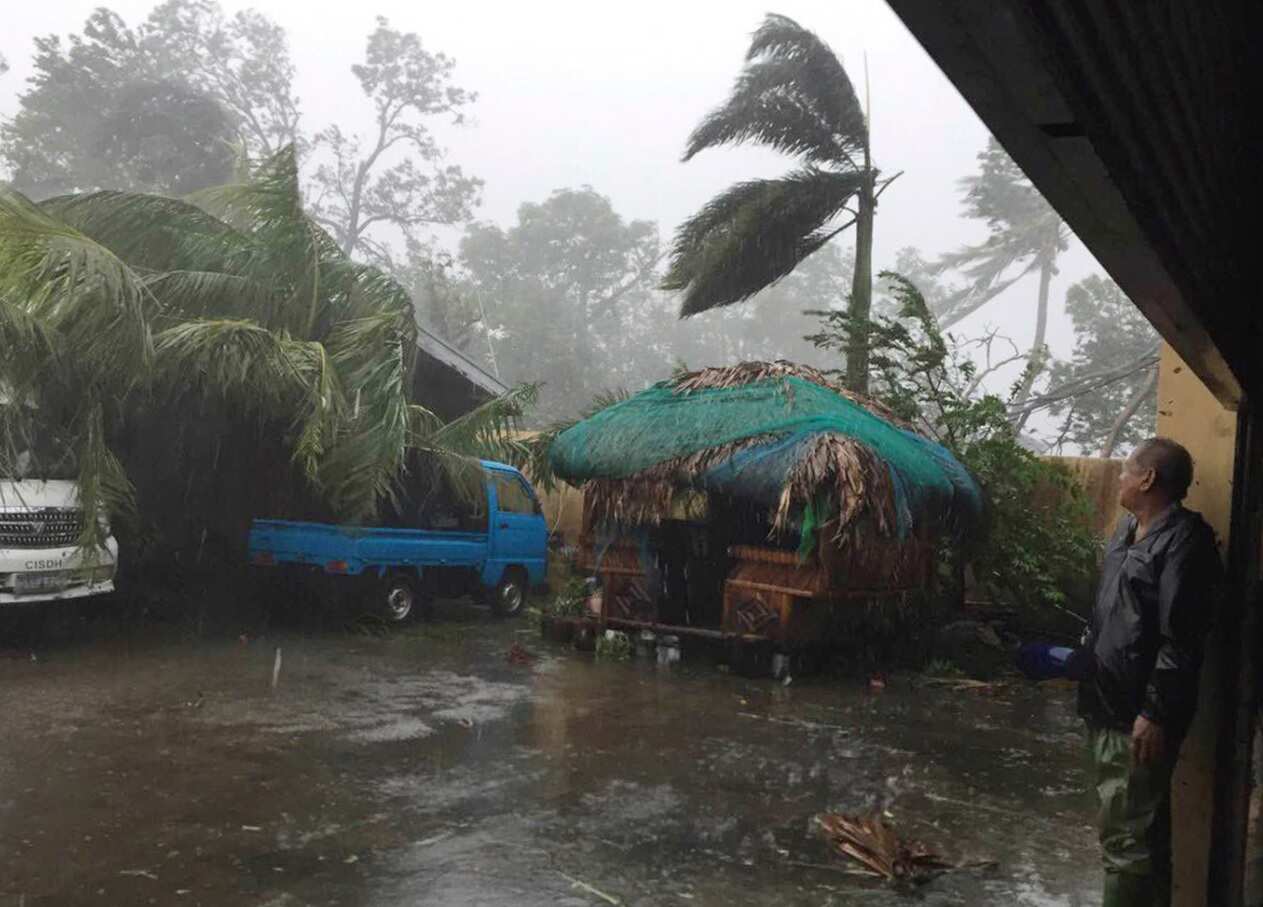 A man takes cover as strong winds and rain topple trees while Typhoon Haima lashes Narvacan, Ilocos Sur, northern Philippines on Thursday Oct. 20, 2016.