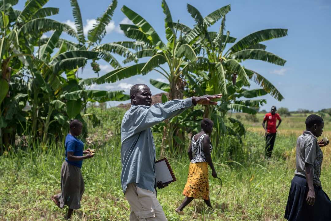 Samuel Lagu on his land where he set aside five acres for a rice venture in which South Sudanese refugees and Ugandans work side by side, in Mireyi, Uganda.