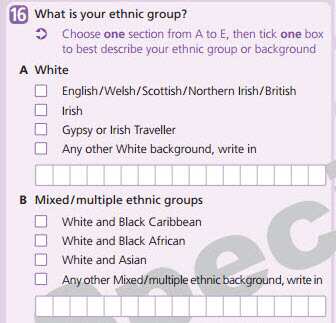 Screenshot: 2011 UK Census form