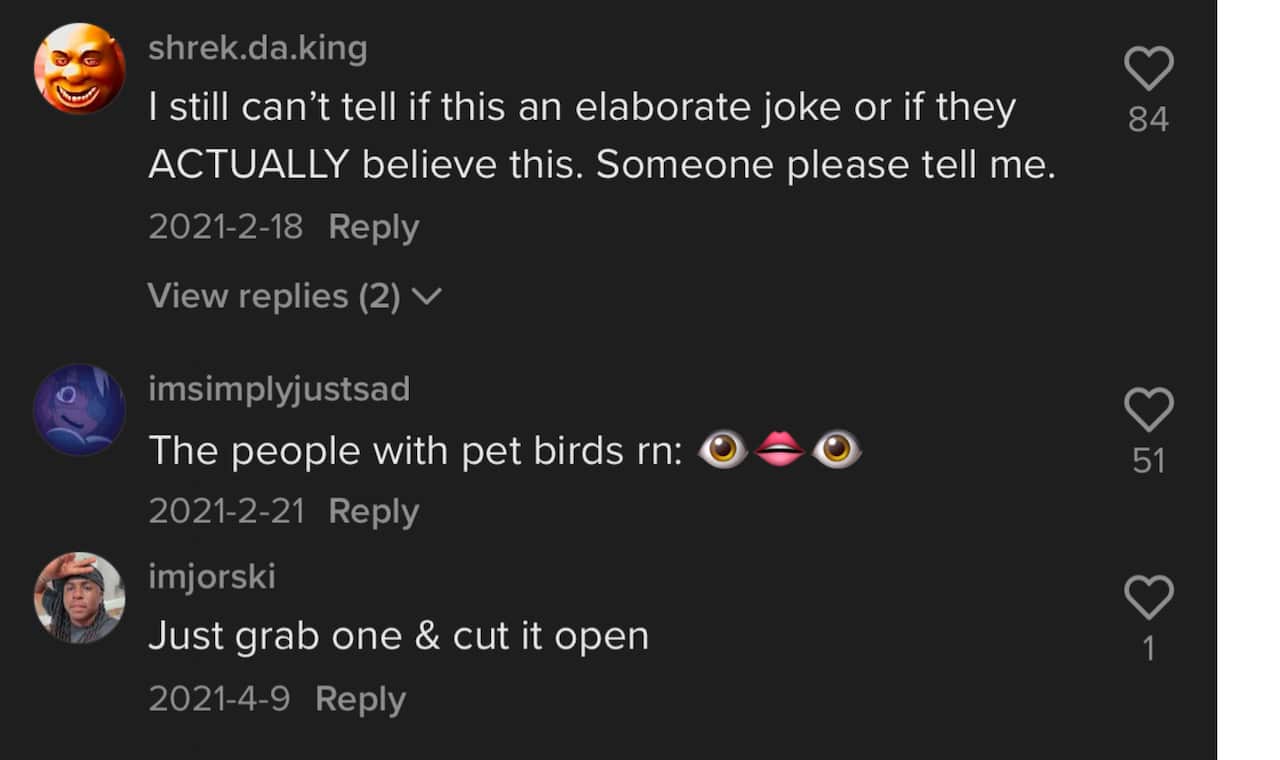 Comments posted under a Birds Aren't Real Tik Tok.