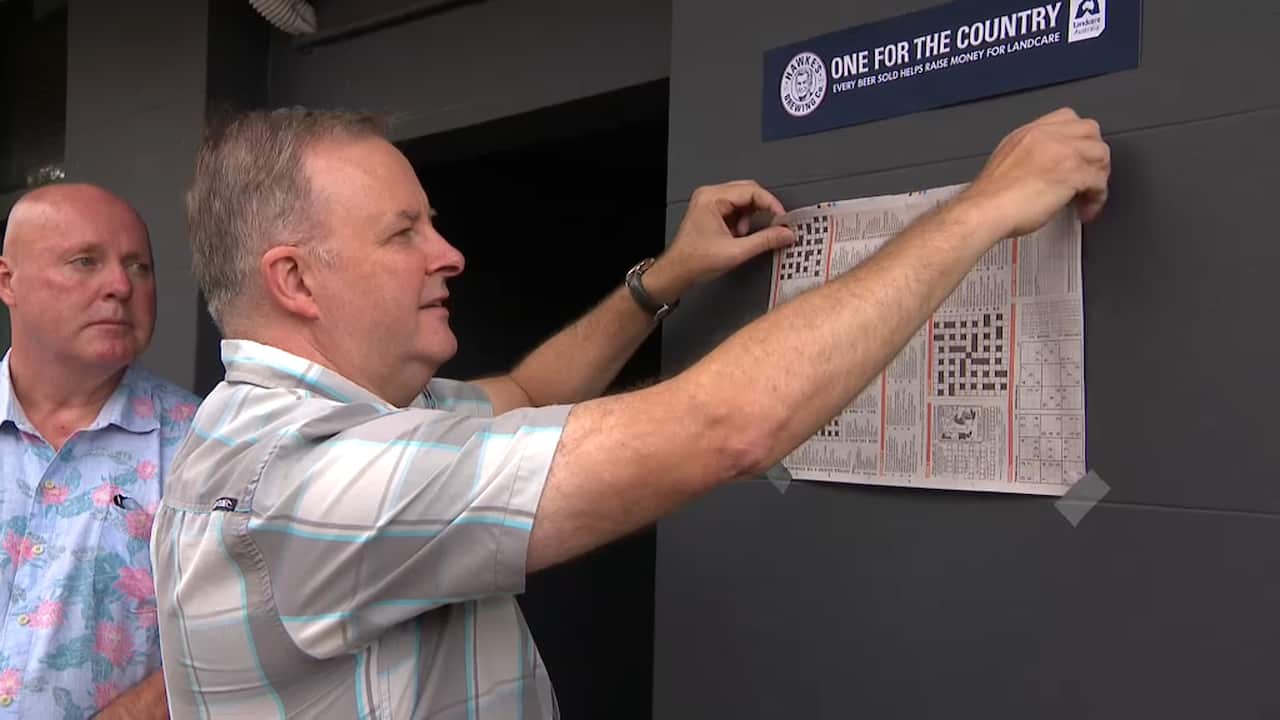 Labor MP Anthony Albanese officially unveils the plaque and mural dedicated to Bob Hawke.
